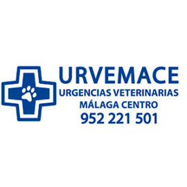 HV Málaga Centro - URVEMACE